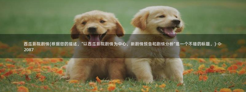 西瓜电影免费提供