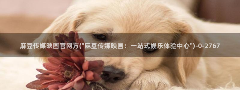 麻豆视频 图集下载：麻豆传媒映画官网方(\