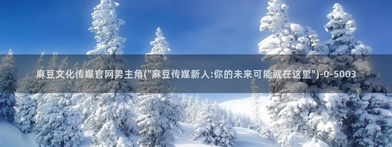 麻豆更新视频：麻豆文化传媒官网男主角(\