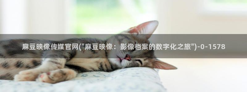 麻豆视频 图集导航：麻豆映像传媒官网(\