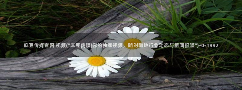 麻豆视频在线看整理：麻豆传媒官网 视频(\