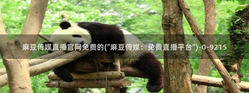 麻豆视频更新在线看：麻豆传媒直播官网免费的(\