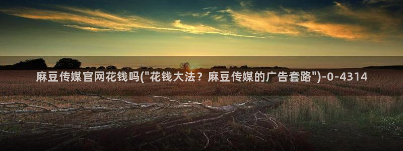 麻豆视频推荐导航：麻豆传媒官网花钱吗(\