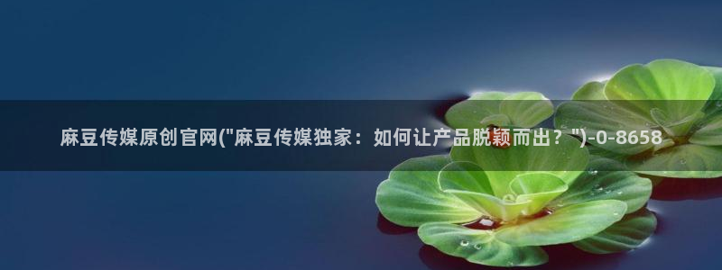 麻豆更新入口：麻豆传媒原创官网(\