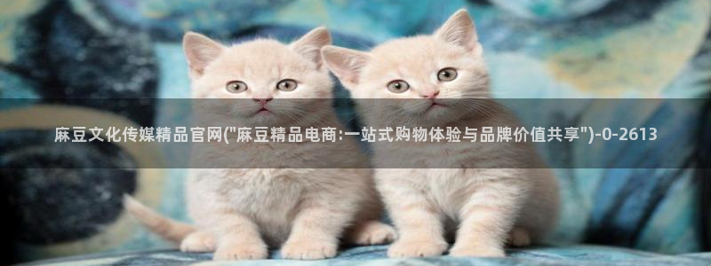 麻豆视频在线看高清：麻豆文化传媒精品官网(\