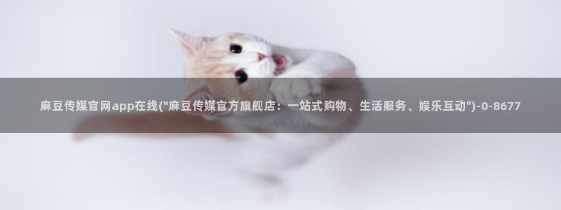 麻豆入口推荐：麻豆传媒官网app在线(\