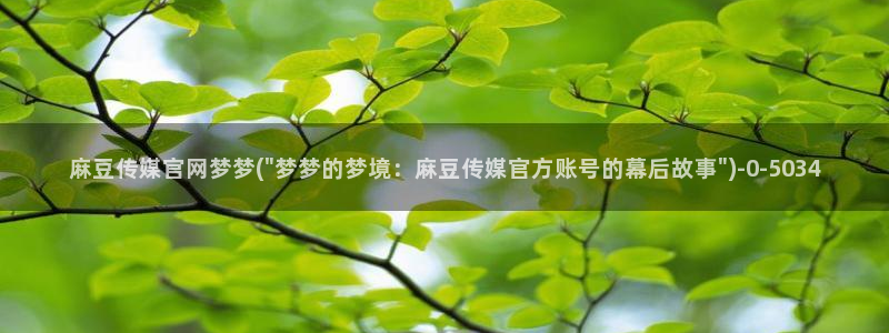 麻豆高清高清：麻豆传媒官网梦梦(\