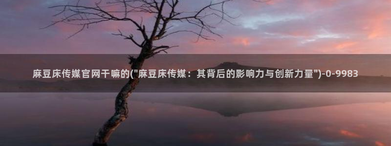 麻豆视频官方最新：麻豆床传媒官网干嘛的(\