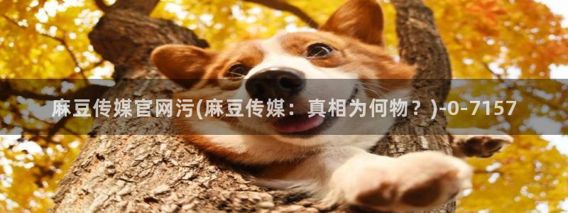 麻豆视频 精选推荐：麻豆传媒官网污(麻豆传媒：真相为何物