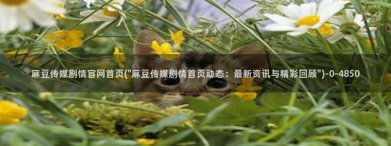 麻豆最新整理：麻豆传媒剧情官网首页(\