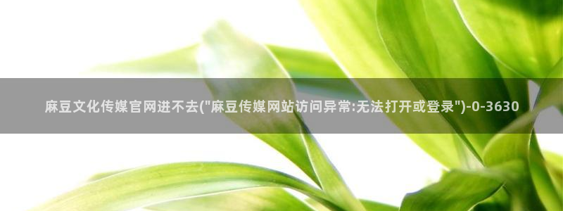 麻豆 最新视频：麻豆文化传媒官网进不去(\