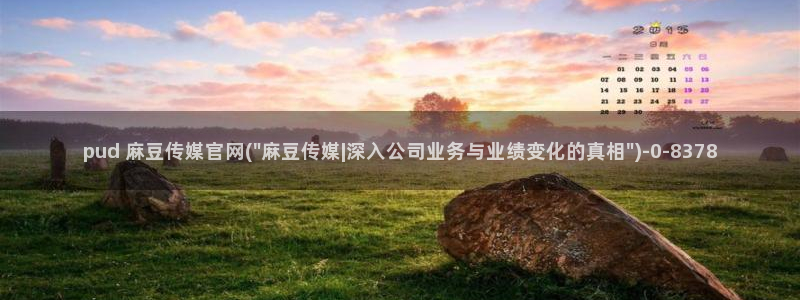 麻豆视频专题